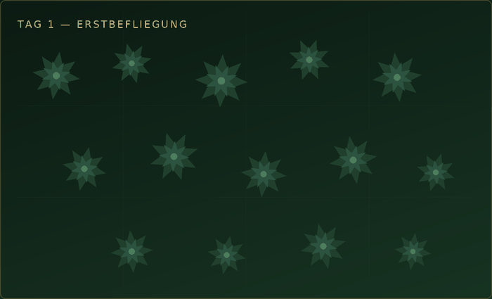 Animation: Doppelbefliegung im 10-Tage-Abstand